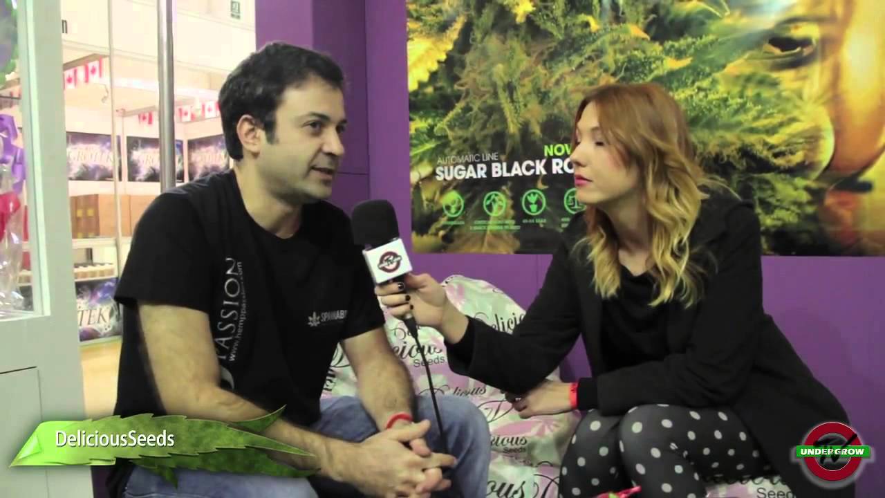 Spannabis 2014 - UndergrowTV