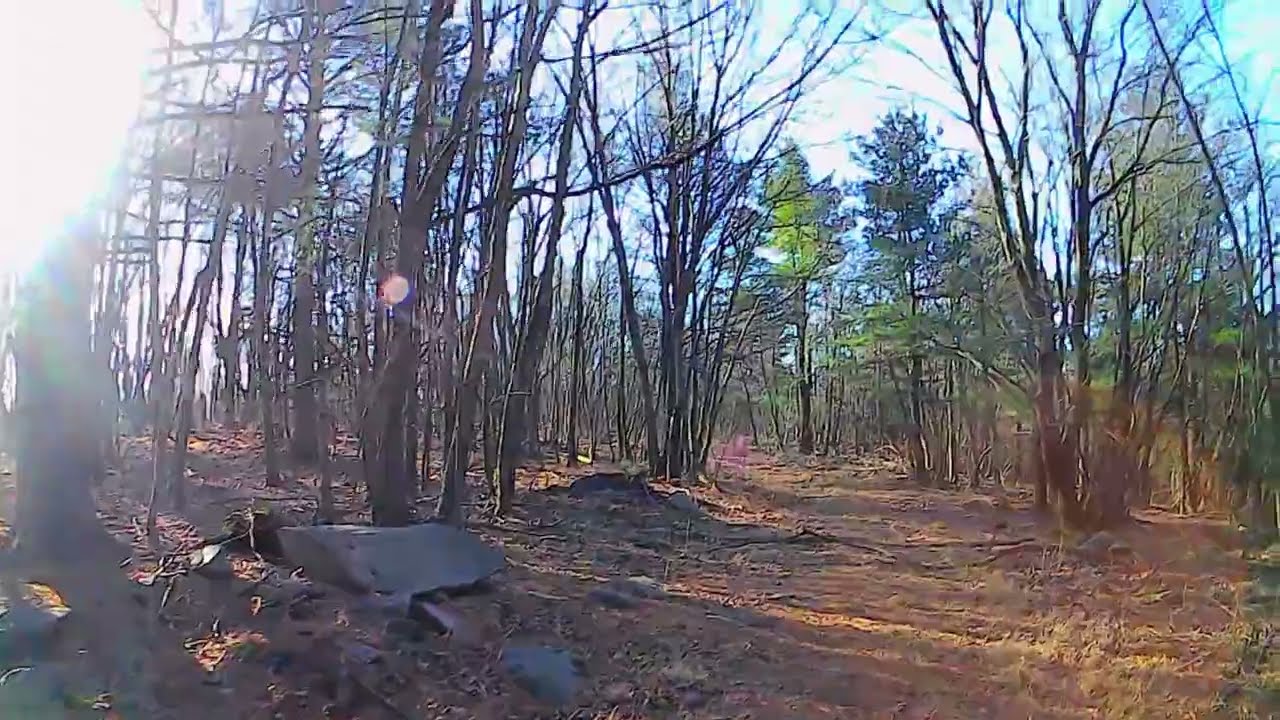 Stone Quarry Trail Quicky#stonequarrytrail#michauxstateforest#hiking#pennsylvania