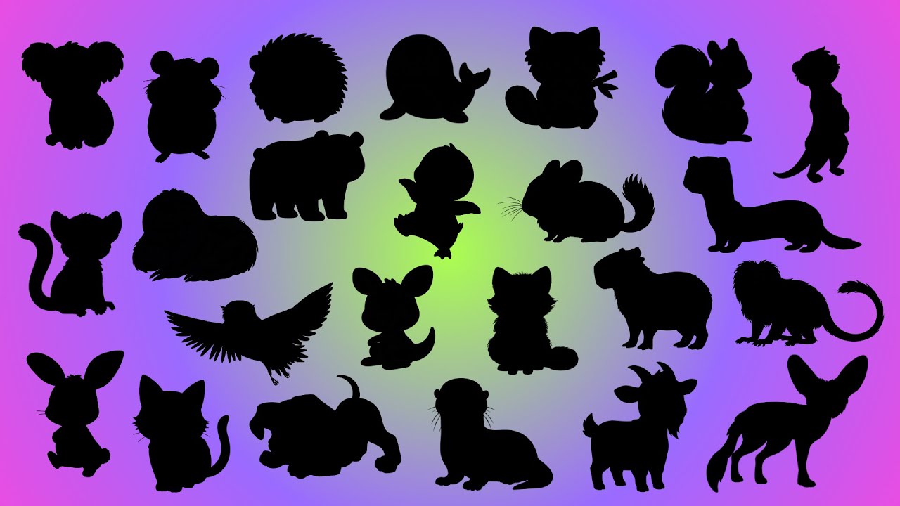 Adivinhe a Sombra dos 25 Animais Mais Fofos! 🐼✨ | Desafio Infantil