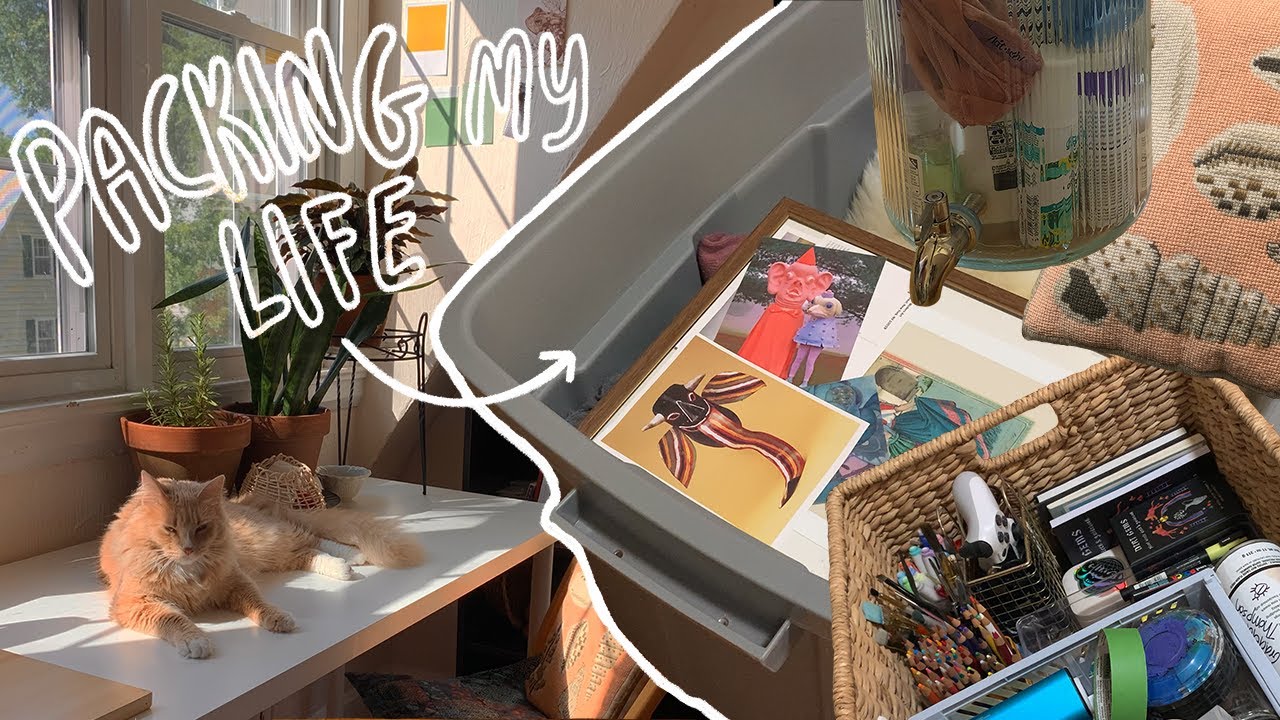 Видеоблог о студенческом переезде | закупка и упаковка вещей для общежития