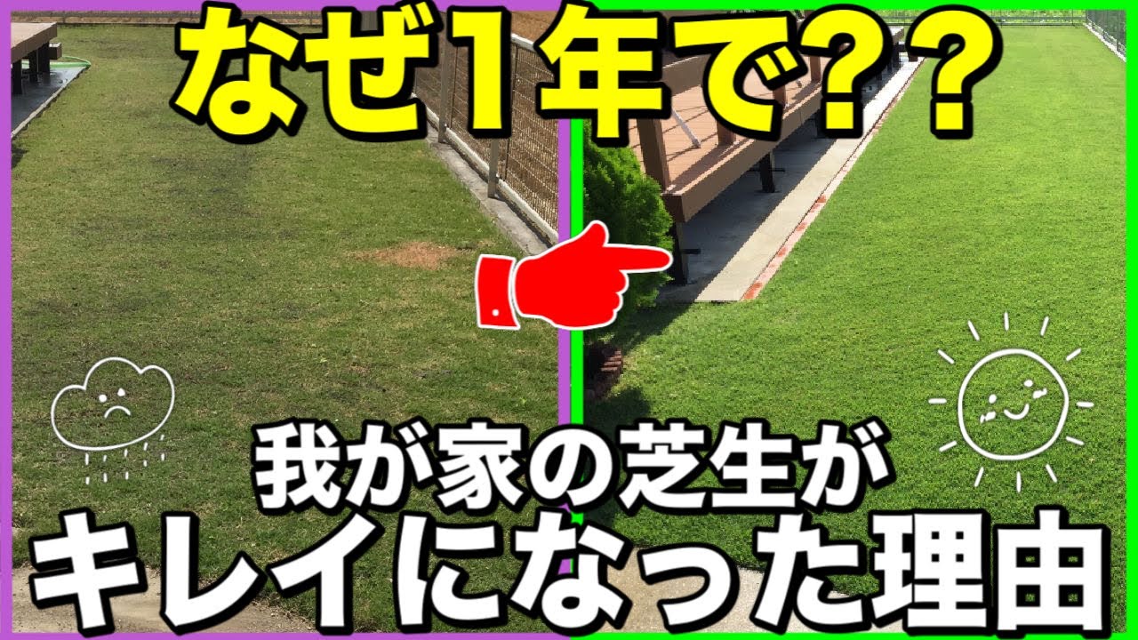 私の芝生がキレイになりました。救世主「シバゲン」ただ，キレイになった理由はそれだけじゃない‼︎