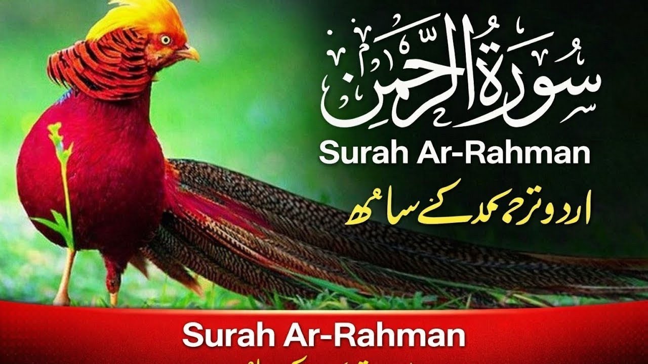 World's most beautiful recitation of Surah Ar-Rahman (سورة الرحمن) | Surah Al Rahman