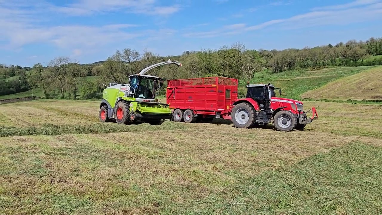 Joe Brady Lifting Grass 2024 In Cavan With a Claas Jaguar 980