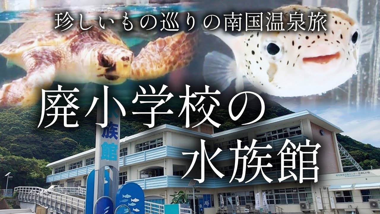 【高知 室戸】小学校がそのまま水族館に！？「むろと廃校水族館」【二人旅】珍しいもの巡りの南国温泉旅