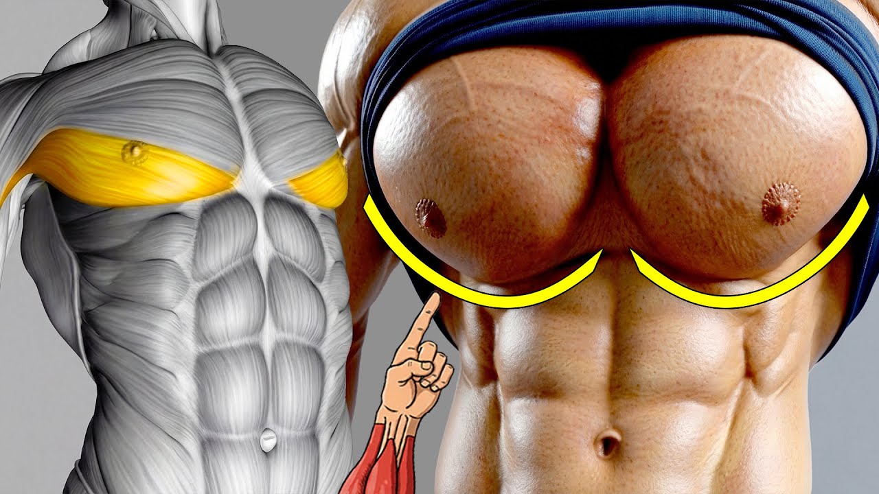 9 Best Exercises to Grow Lower Pecs