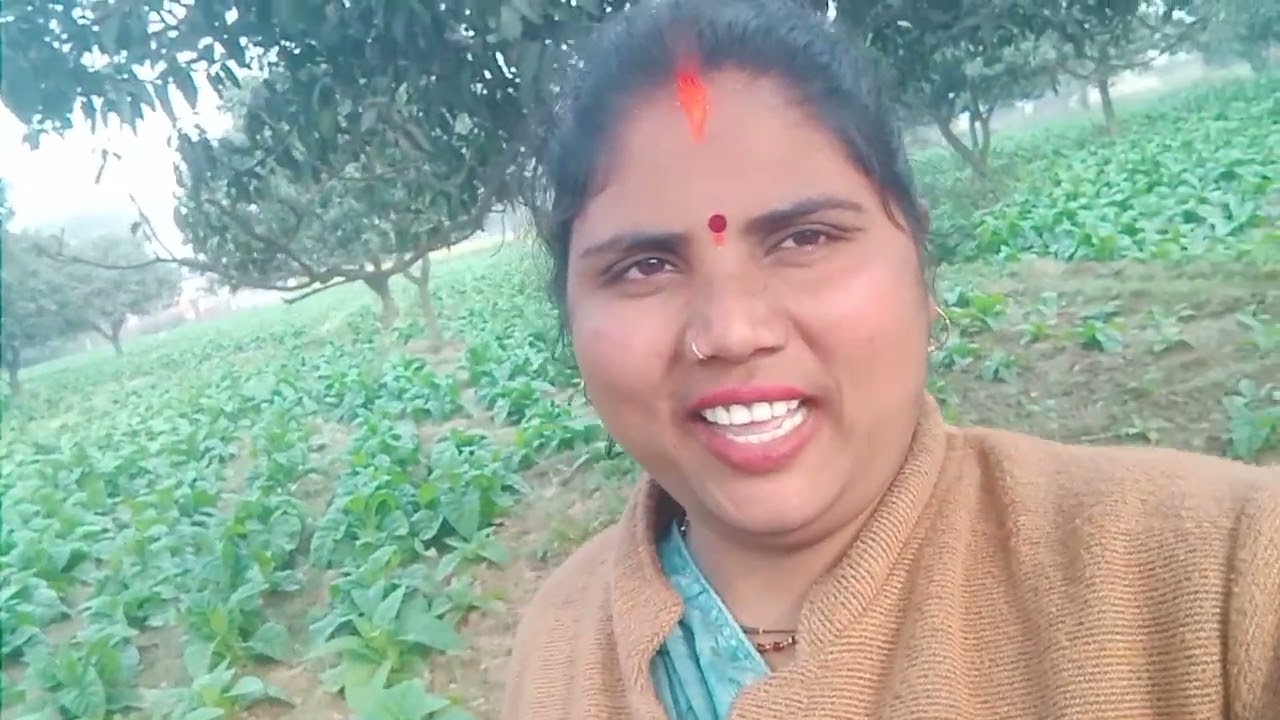 4 फ़रवरी 2026