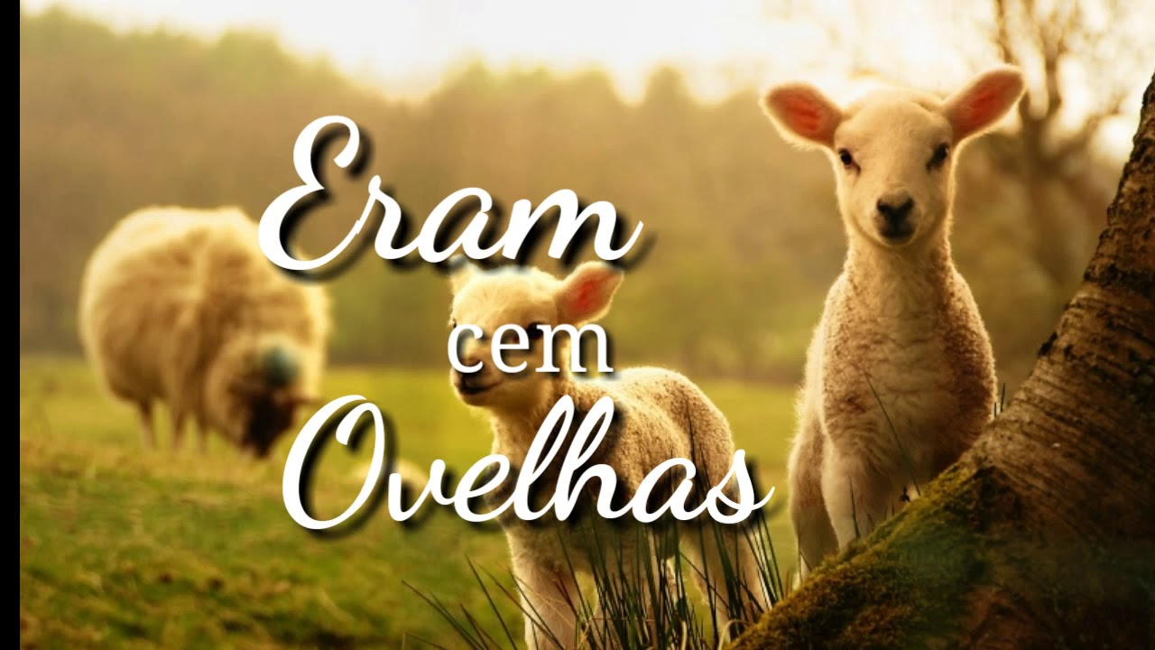 Eram cem ovelhas  Voz e Letra