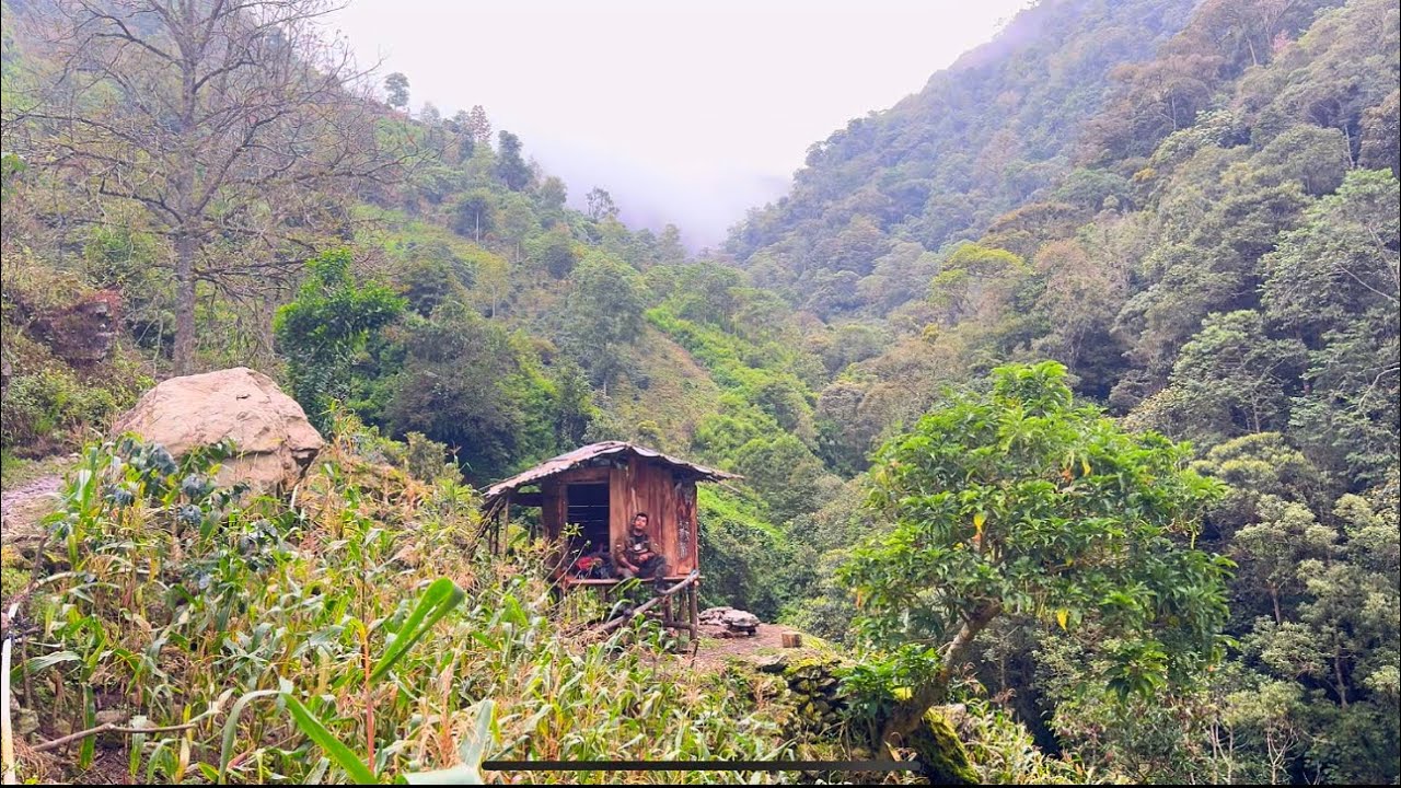 Solo Camping | 24 jam di Hutan Karangan latimojong Sulawesi Indonesia.  #campfire #survival #masak