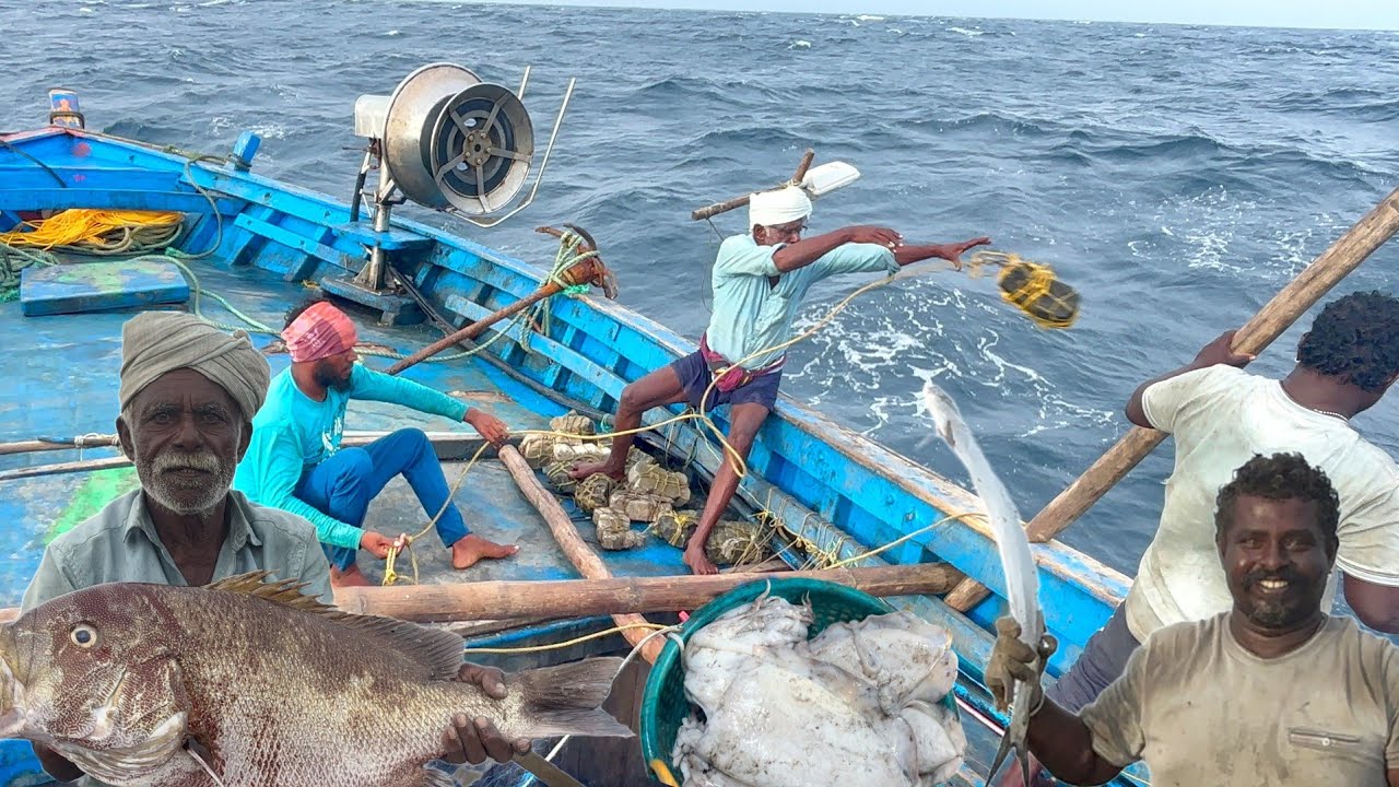 Final Day 🤩 Wonderful Day We Caught Lot of variety fishes & CUTTLE Fishes in Deep Sea Fishing