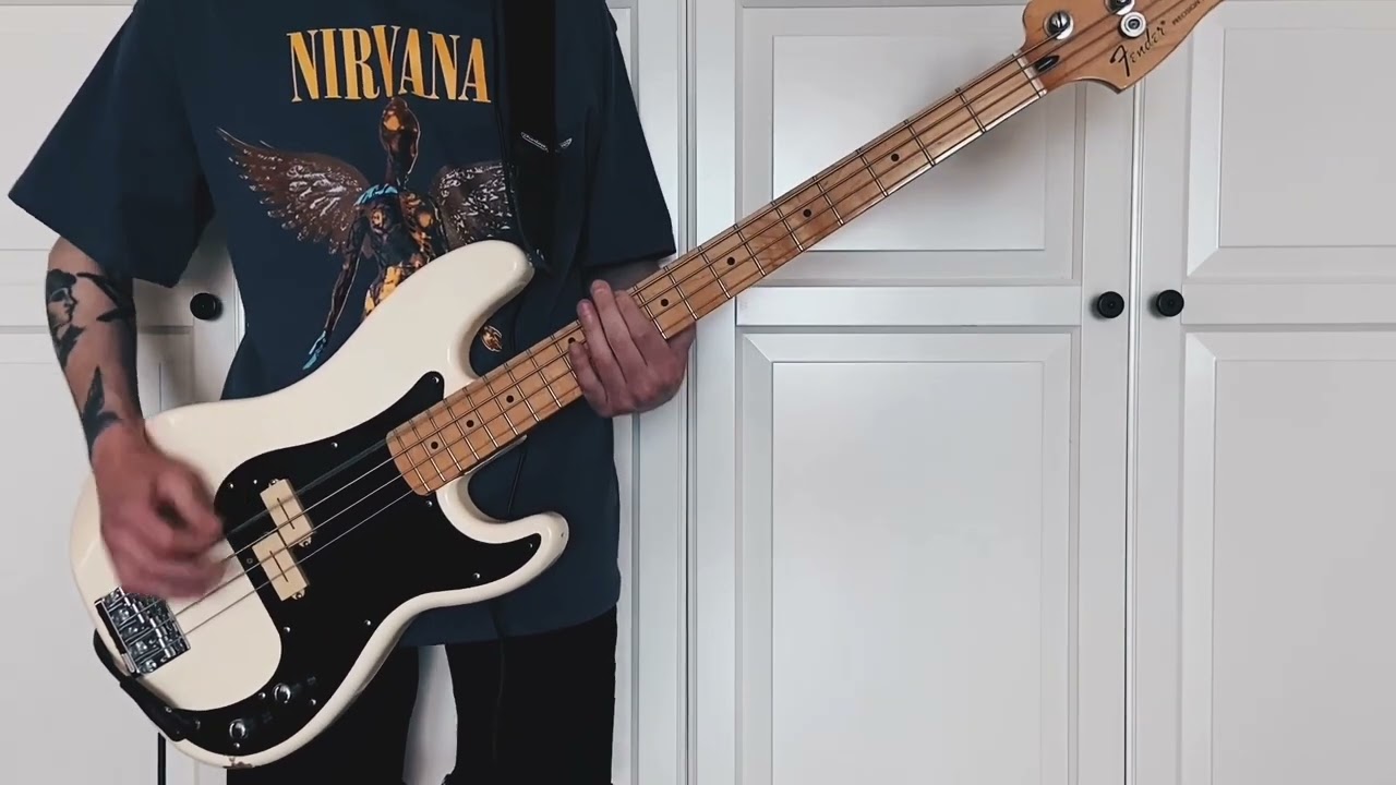 Narrow Head - T.W.I.N. (bass cover)