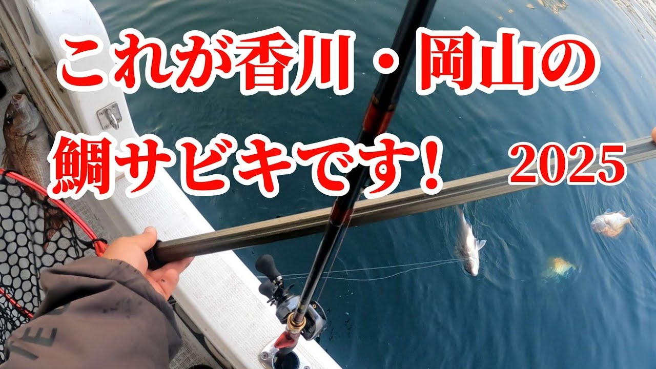 瀬戸内海タイサビキ爆釣編❗2025年3月25日(火)