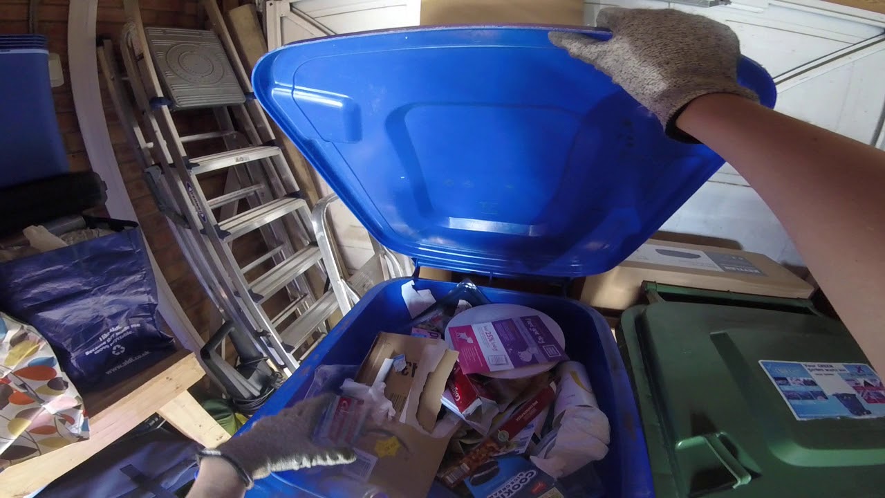 Putting the bins out and a bin update *GOPRO EDITION*