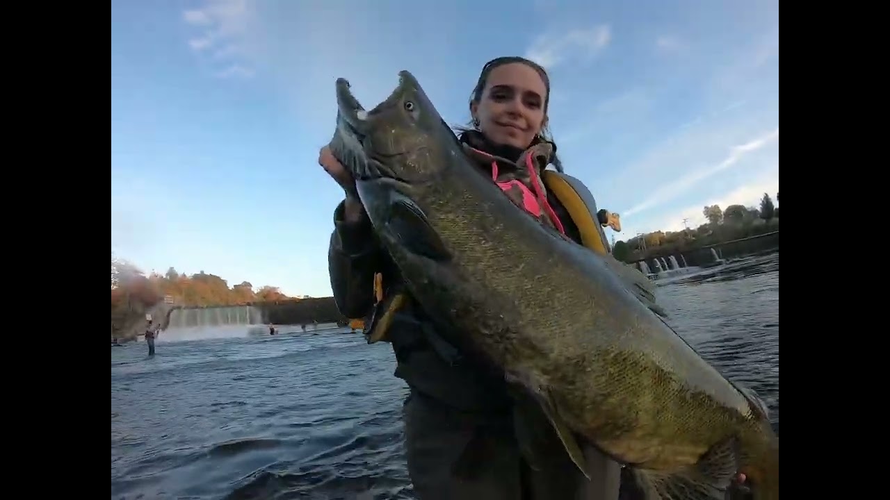 Salmon river compilation #fishing #salmonriver #flyfishing #mustadhooks #mustadfishing #fish #salmon