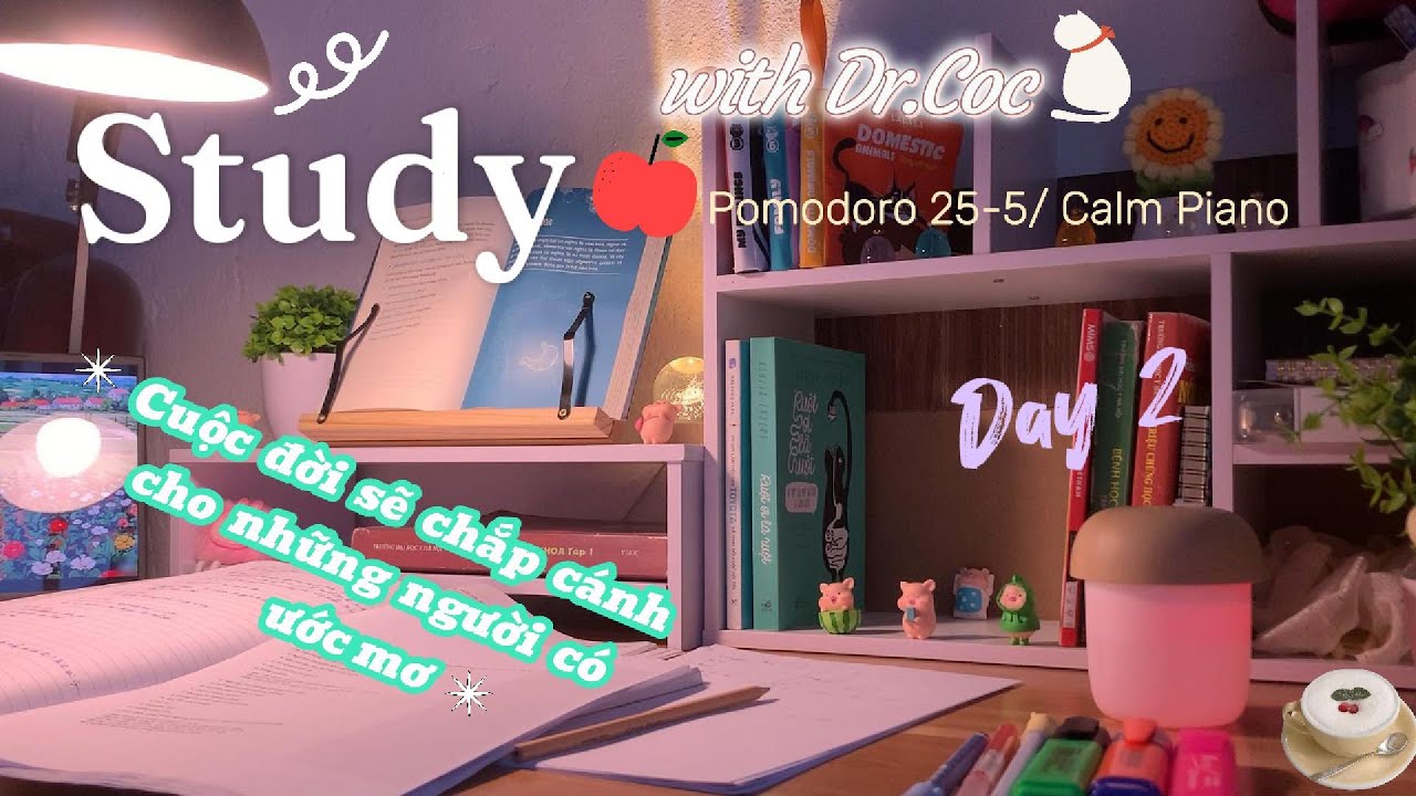 ⏳1 HOUR STUDY WITH ME📚/ Học cùng mình📖/ Mùa đông lạnh ❄️/ Pomodoro 25-5 / Calm Piano🎧️
