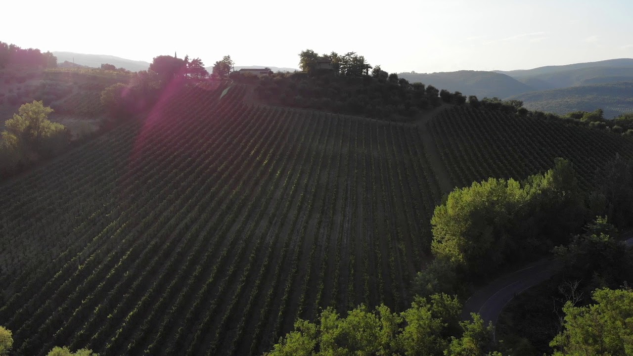Il Palagione - Tramonto a San Gimignano
