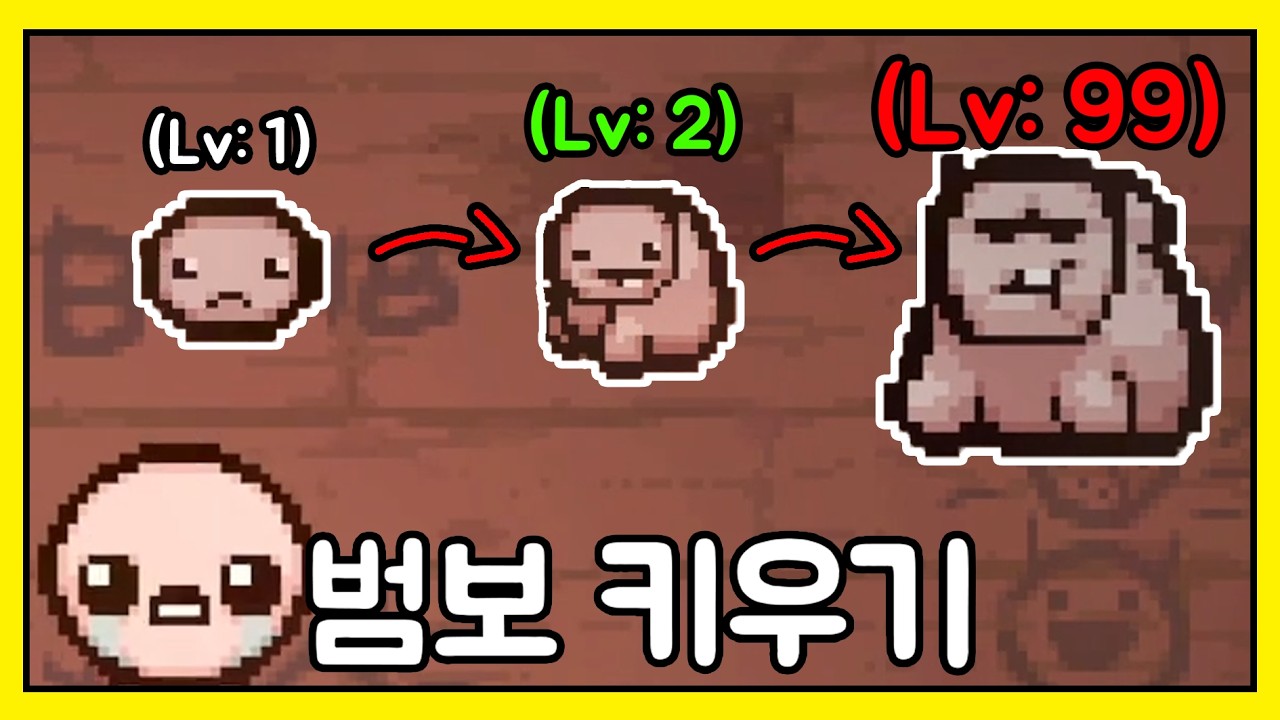 범보 키워서 미션 날먹하기