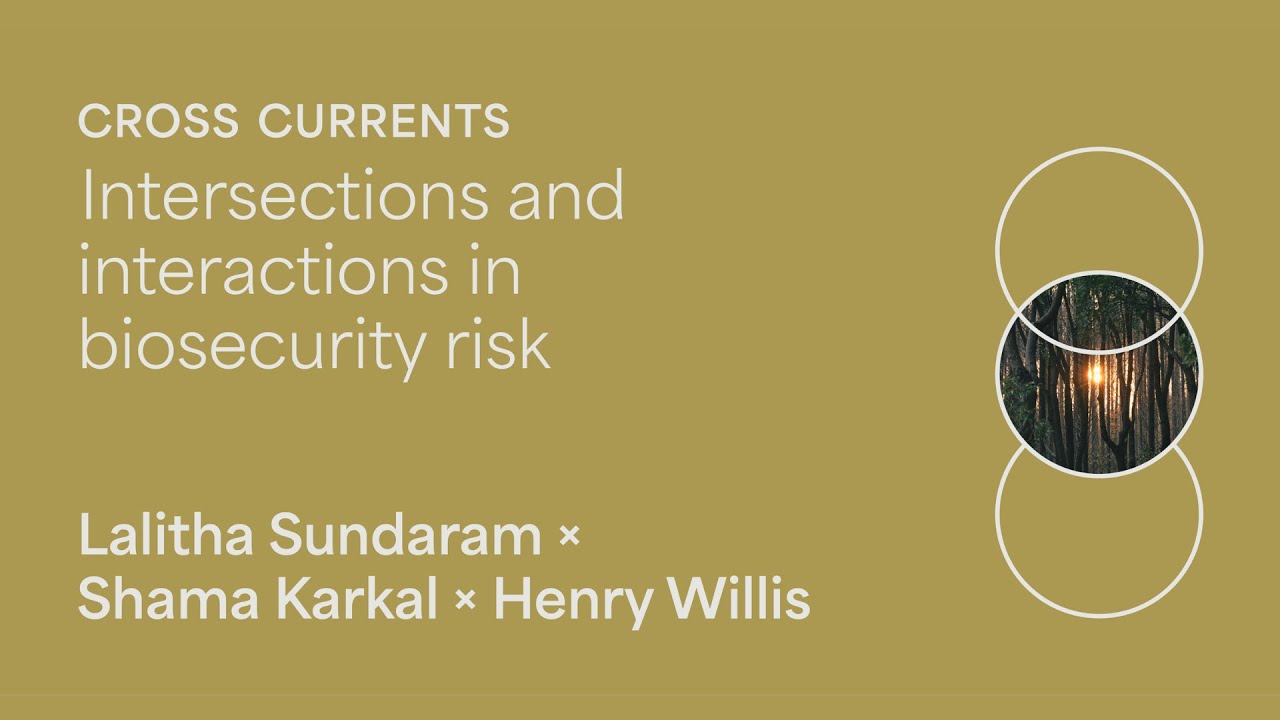 How systemic risks threaten global health security (and what we can do)