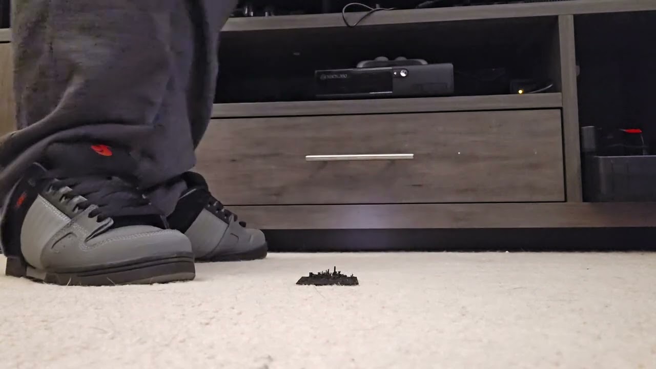 Pathetic Insects.