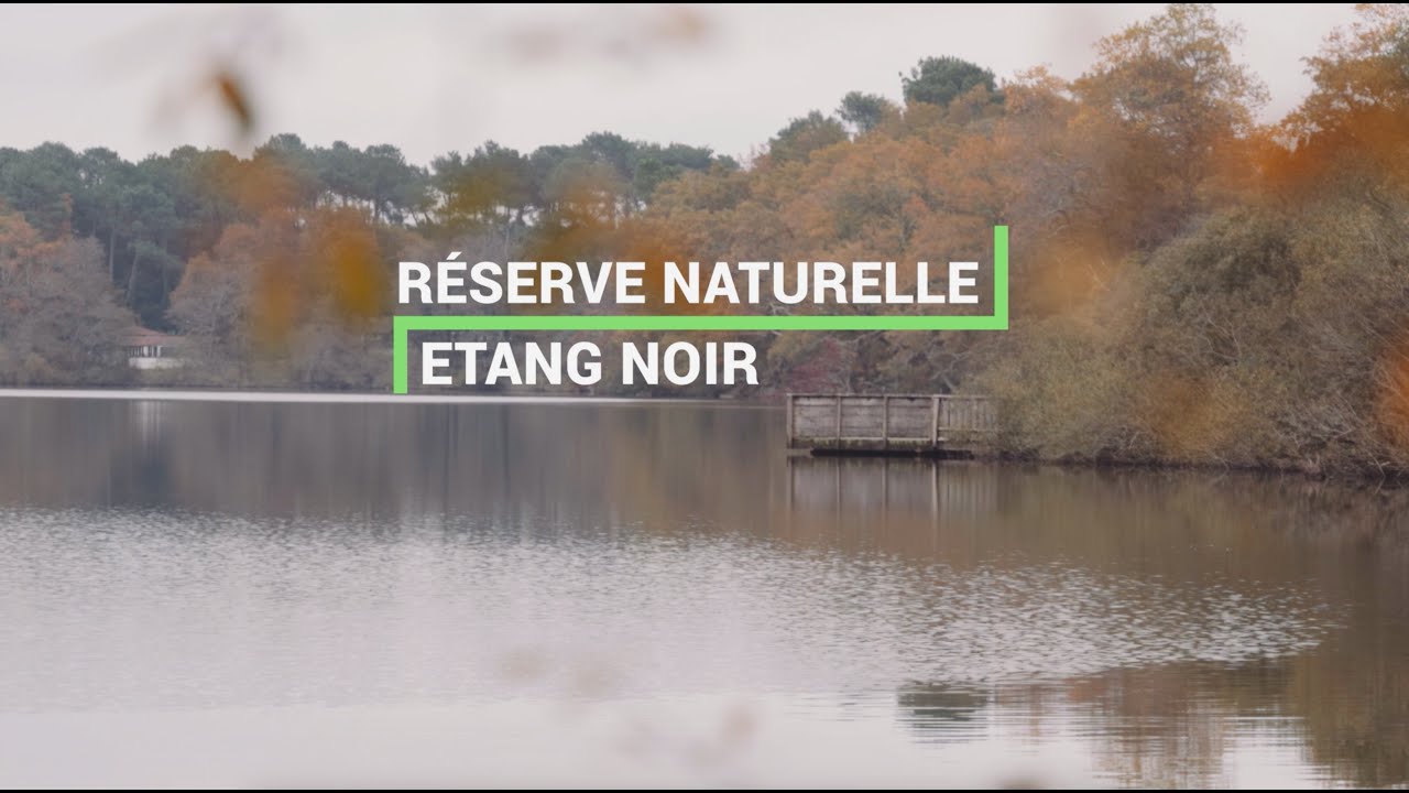 Réserve naturelle de l'Etang Noir