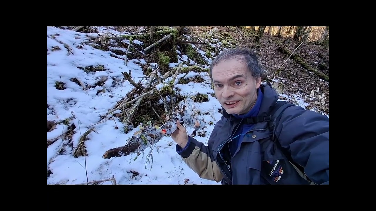 Durch das Wilde Schlüchttal/Canyon- Winter Pilze Abenteuer 