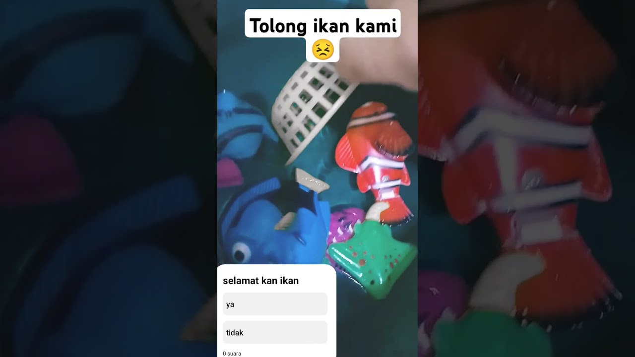 Tangkap ikan  #anakanak #ikan #seru