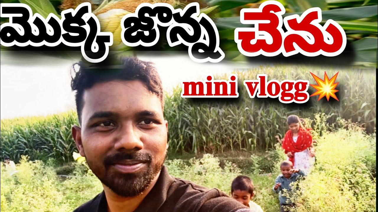 #vlog my village 💥....