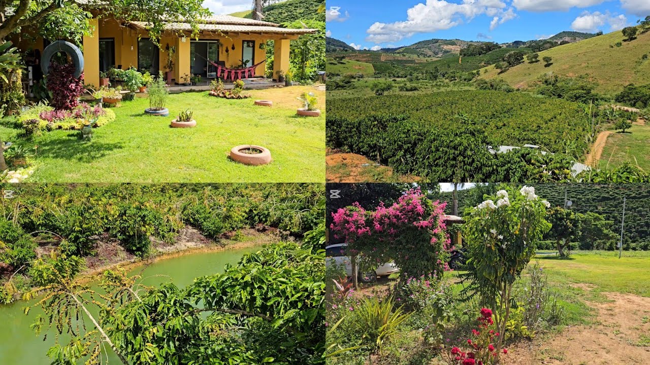ESSE LINDO PARAÍSO PODE SER SEU!! LINDO SÍTIO ALTAMENTE PRODUTIVO A VENDA.
