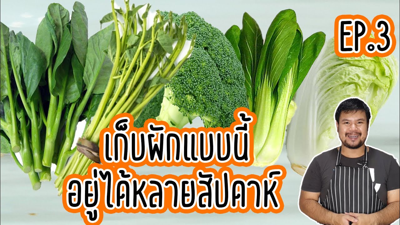 วิธีเก็บผักให้สดอยู่ได้นานใน ช่วงกักตัว เทคนิคการเก็บ บร็อคโคลี่ ผักบุ้ง กวางตุ้ง ผักกาดขาว ผักคะน้า