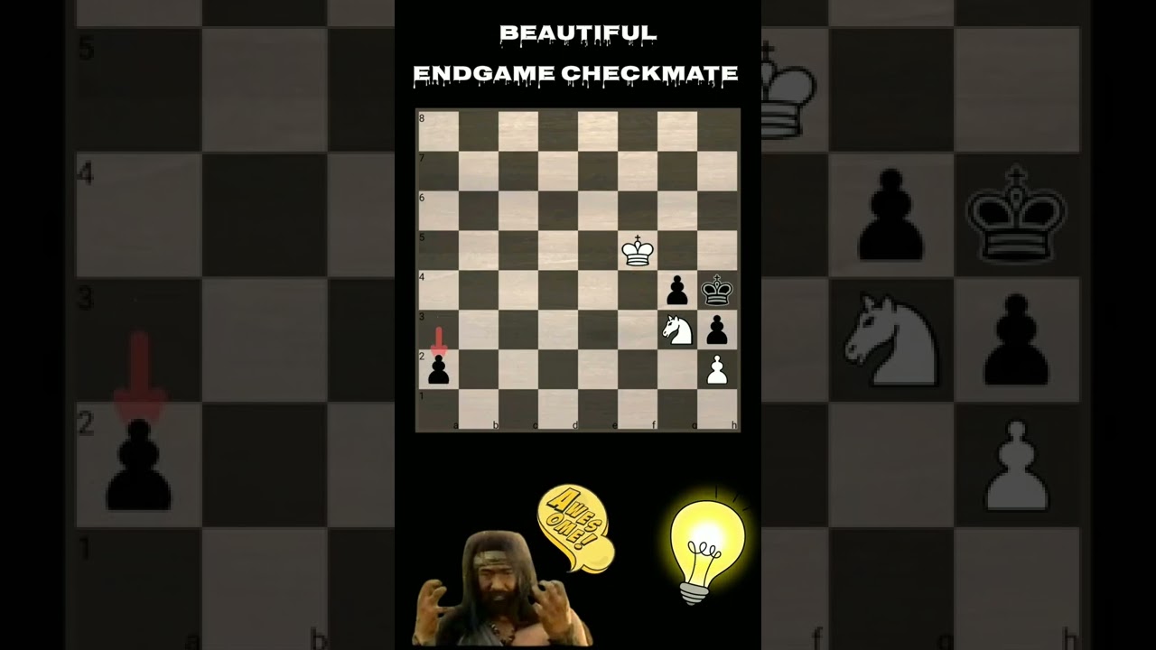Problem Catur Sulit dan unik | Beautiful Endgame Checkmate 👍😁👏