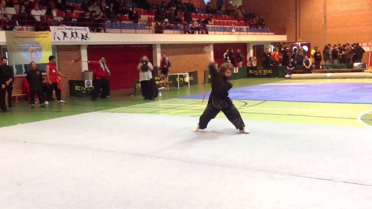 IV Campeonato España de Kuoshu (Escuela Laoshan) 2014
