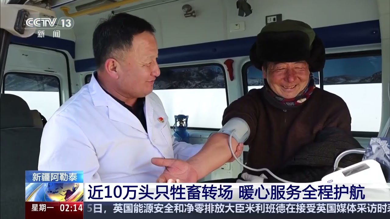 [新闻直播间]新疆阿勒泰 近10万头只牲畜转场 暖心服务全程护航 | 新闻来了 News Daily