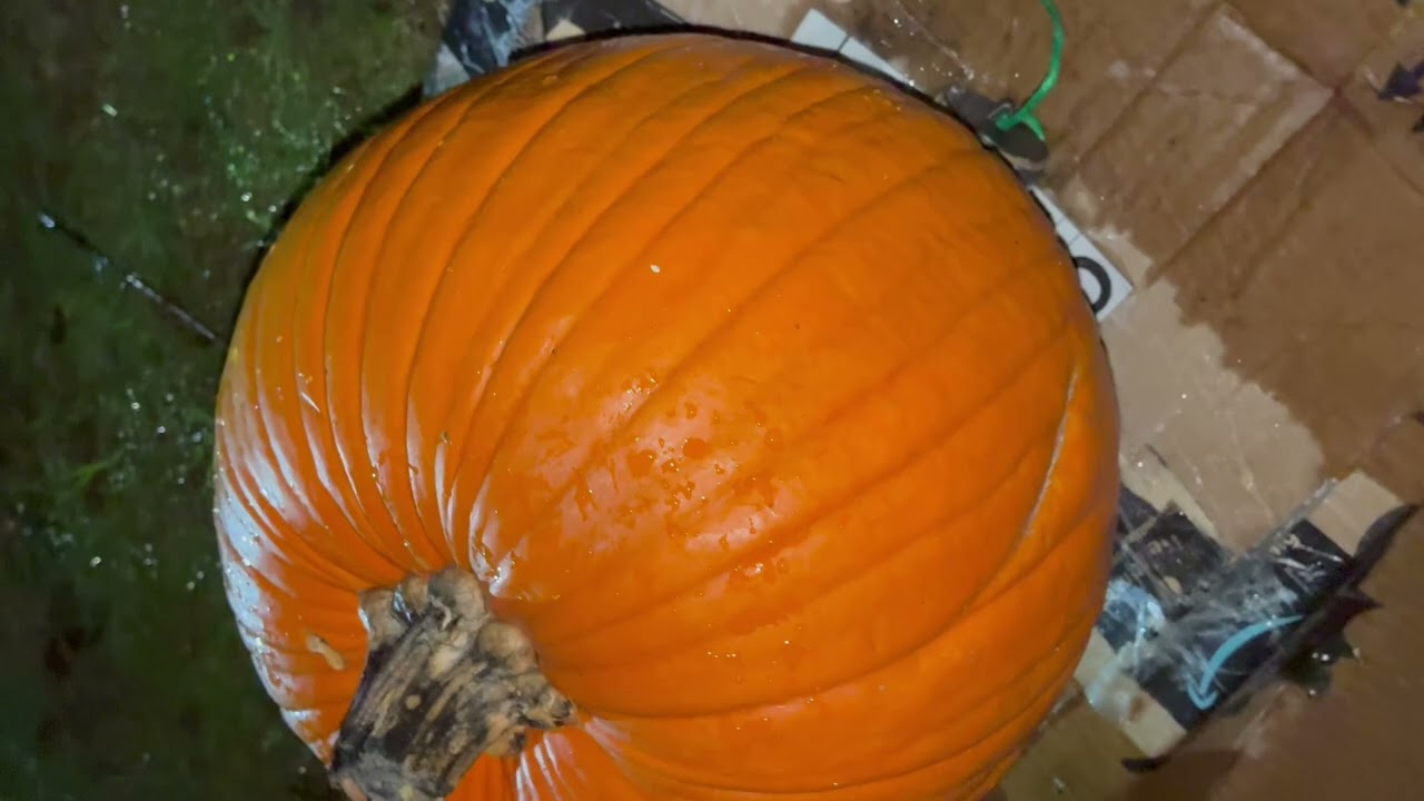 6&rdquo; TERMINATOR CANISTER SHELL FIREWORK BLOWS UP PUMPKIN 🎃 