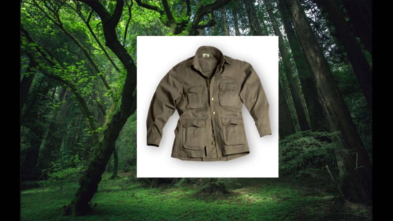 It's A Jungle Out There!