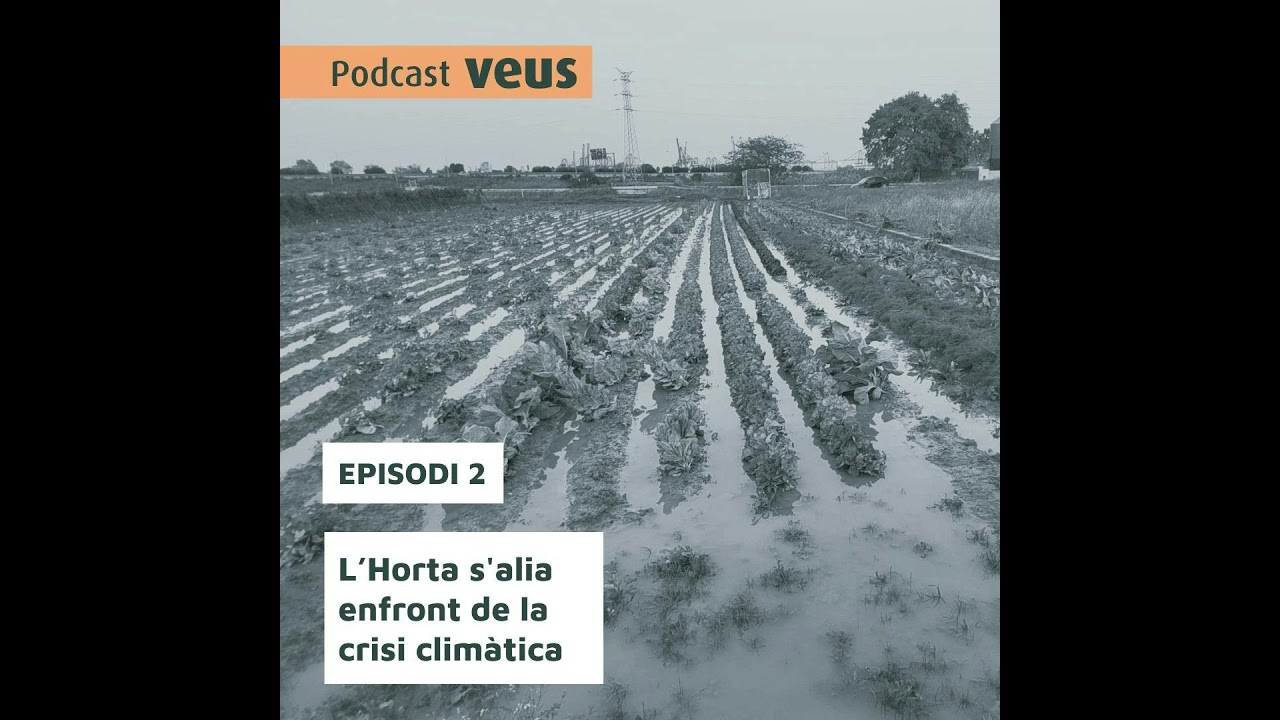 Dana I: L'Horta s'alia enfront de la crisi climàtica