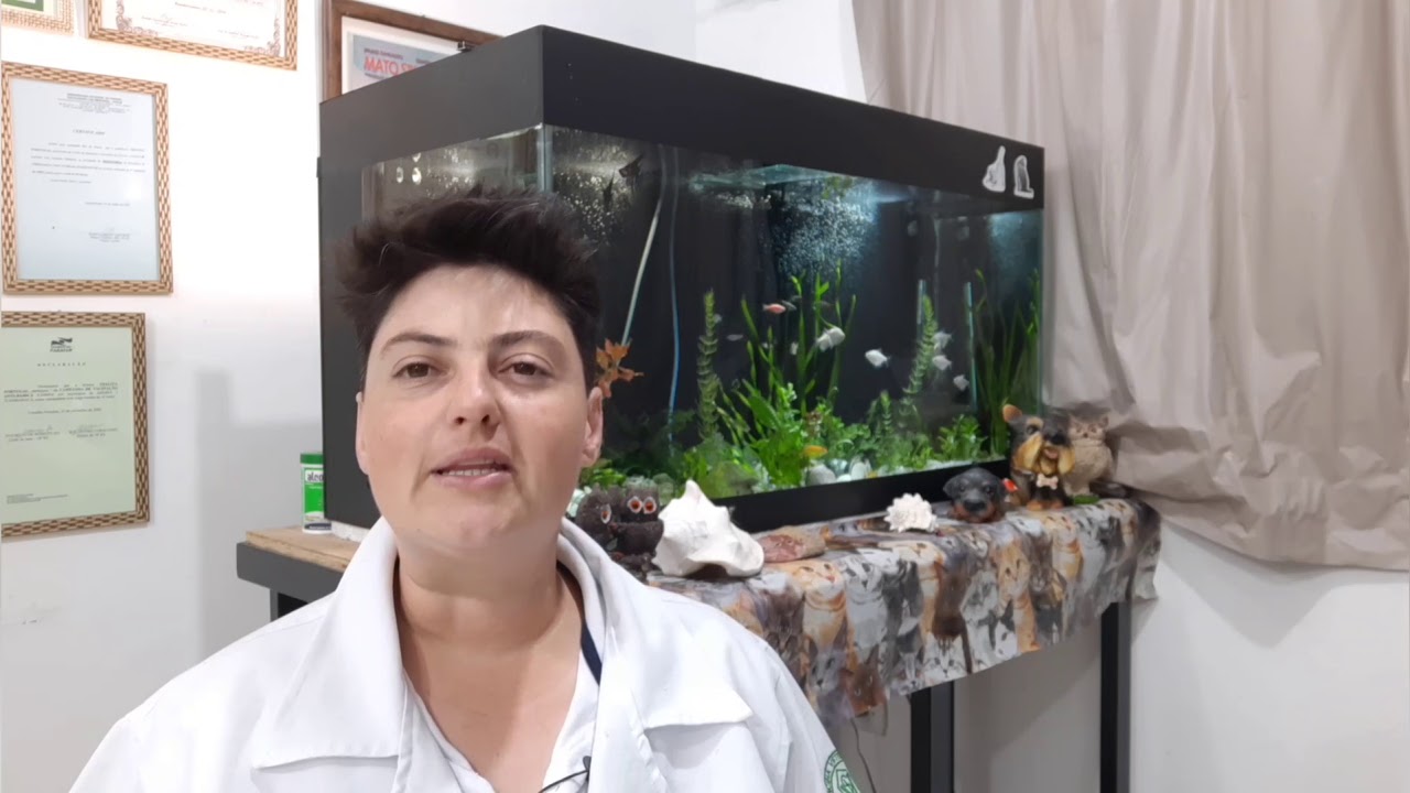 APENAS UM TESTÍCULO? CRIPTORQUIDIA SAIBA MAIS