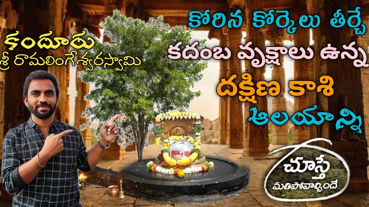 కదంబ వృక్షాలు చూశాక అమ్మో అనాల్సిందే🤫|kandur Temple|Joshful Journey
