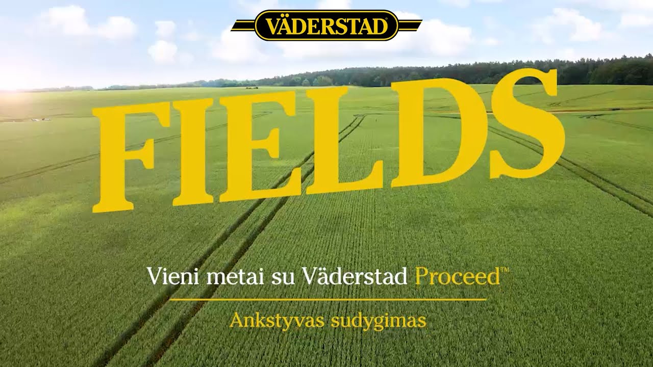 Laukai &ndash; Vieni metai su Proceed &ndash; Ankstyvas sudygimas