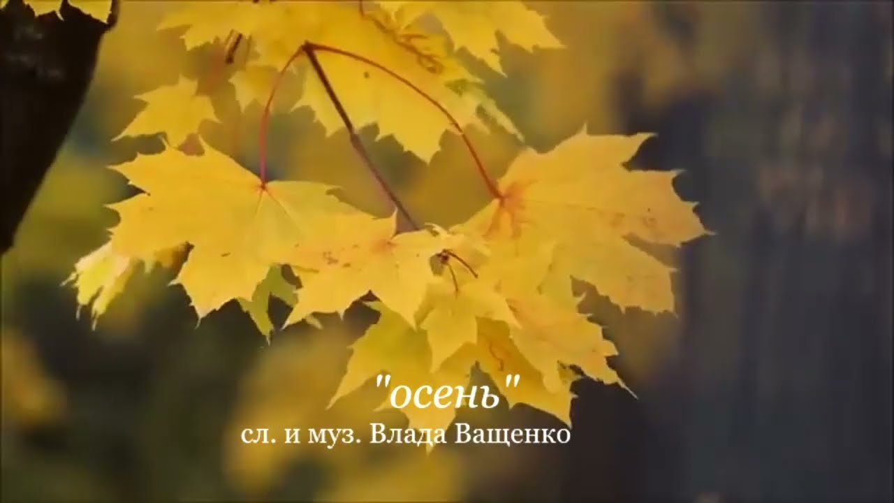 Влад Ващенко Осень 2025 (cover)