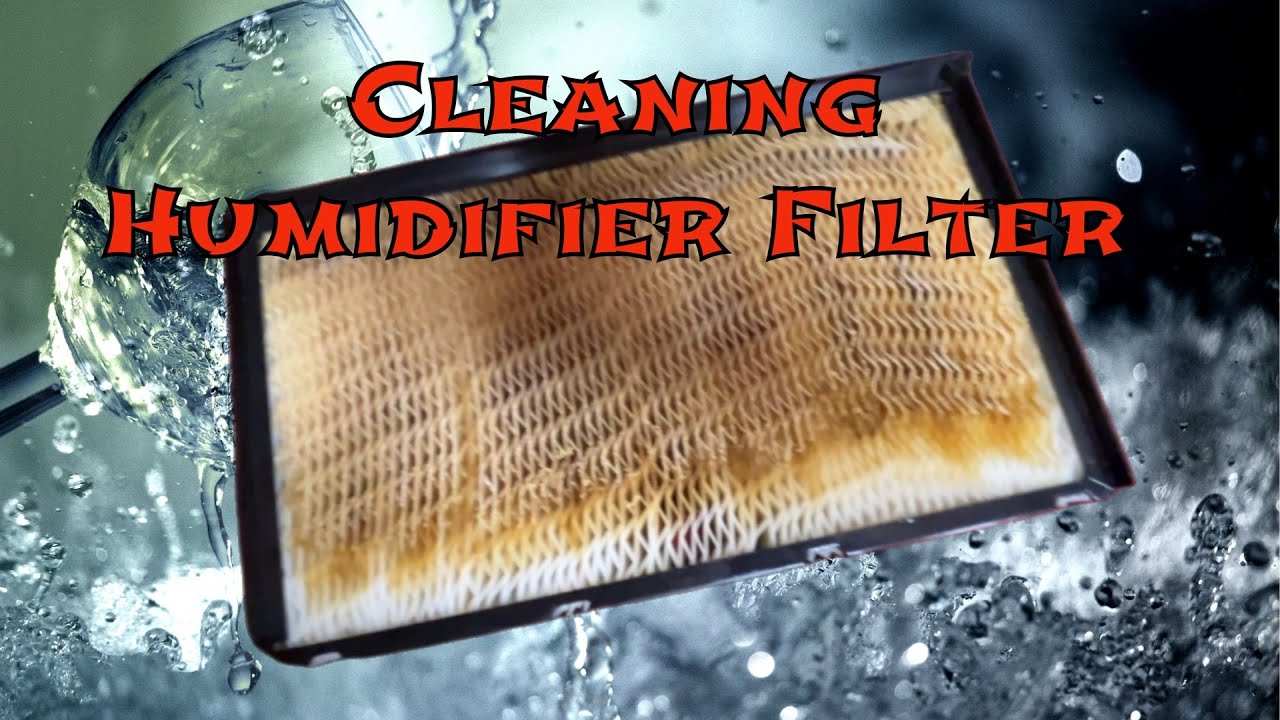 How to Clean Humidifier Filters