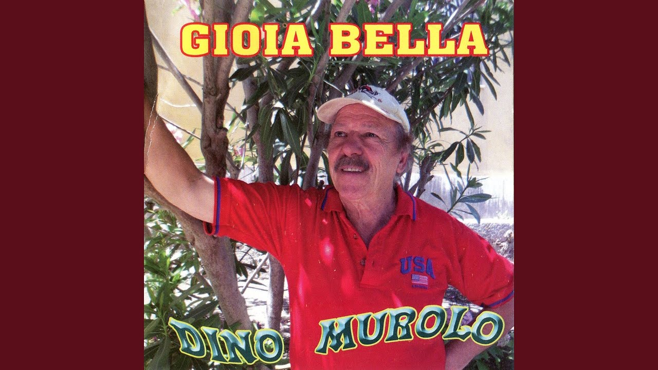 I miei vent'anni