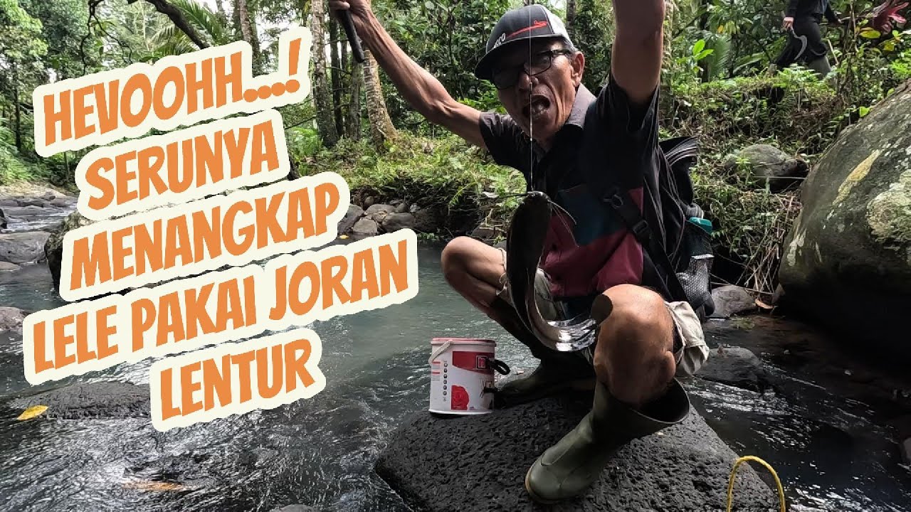 Menegangkan!! Petua Mancing Wader: Raih Lele Besar di Sungai! 🎣 #fishing #reel #microfishing
