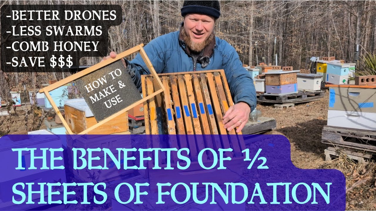Half sheets of foundation are one of my favorite spring management tools.