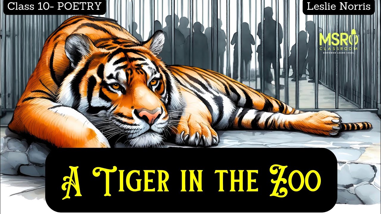 A Tiger in the Zoo | Line-by-Line Explanation, Summary, Symbolism, Context & Theme | Class 10