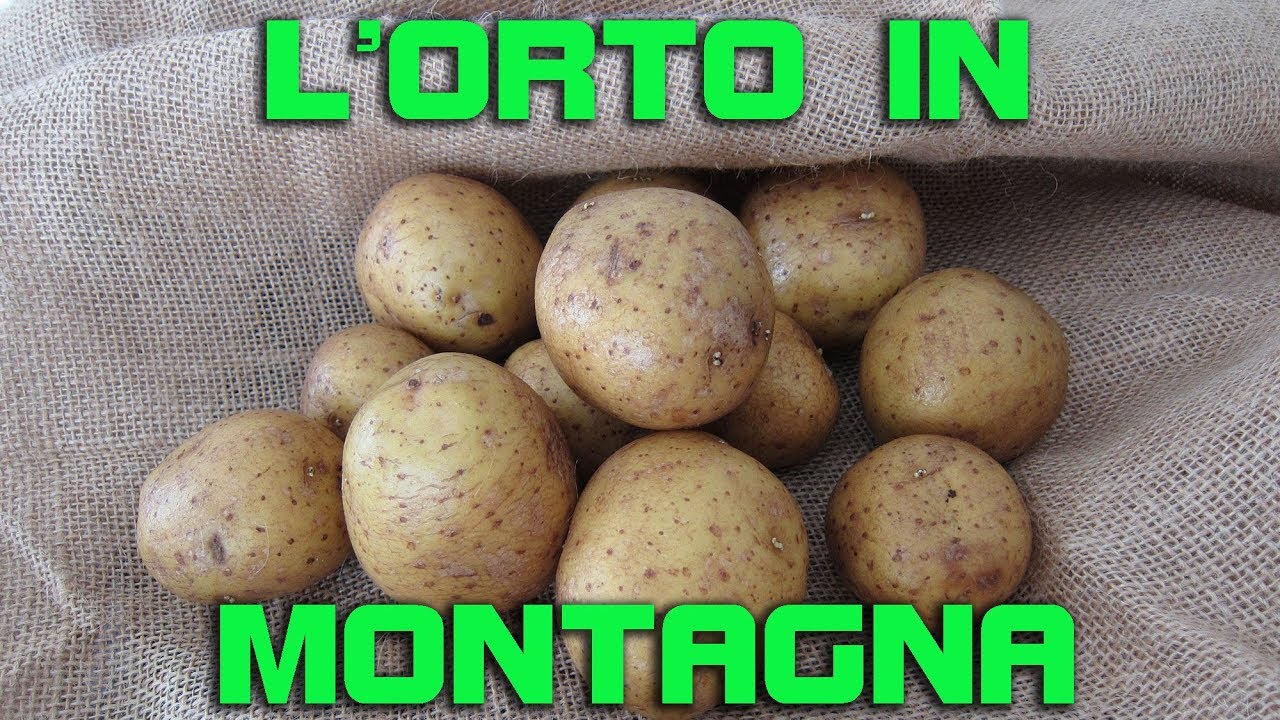 L'orto in montagna - Coltivare in montagna &egrave; possibile, ecco qualche semplice consiglio