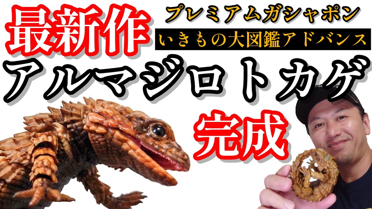 【いきもの大図鑑アドバンス】アルマジロトカゲ【ガチャガチャ】ついに出た待望の最新作だ！！開封&レビューします！！【バンダイ】【いきもの大図鑑】