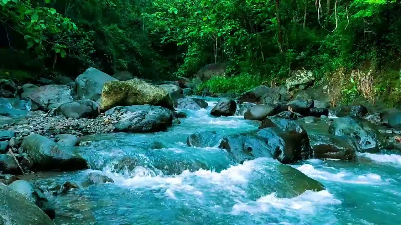 Relaxing Nature Sounds for Deep Sleep, Stream Sounds, Forest Sounds