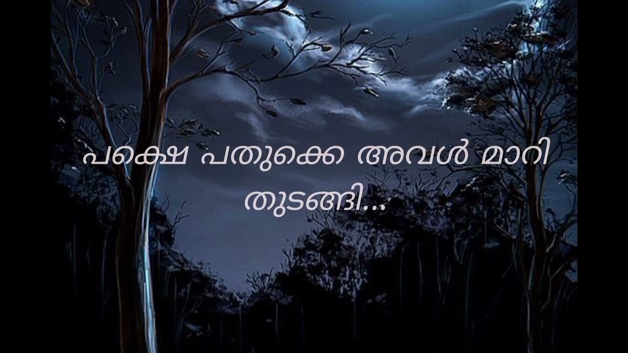 സ്നേഹിച്ചത് തെറ്റായിരുന്നില്ല... ❤️