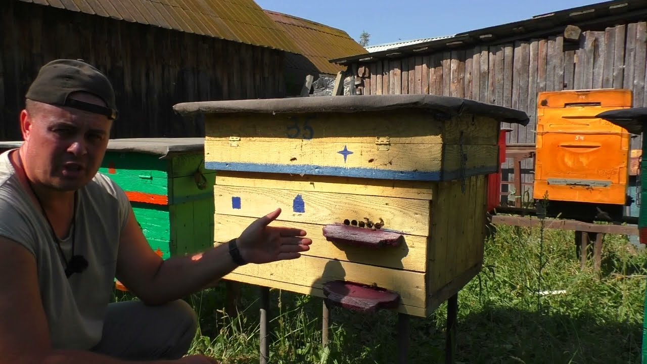 Як підготовити вулики до зимівлі? Вентиляція, утеплення, льотки.