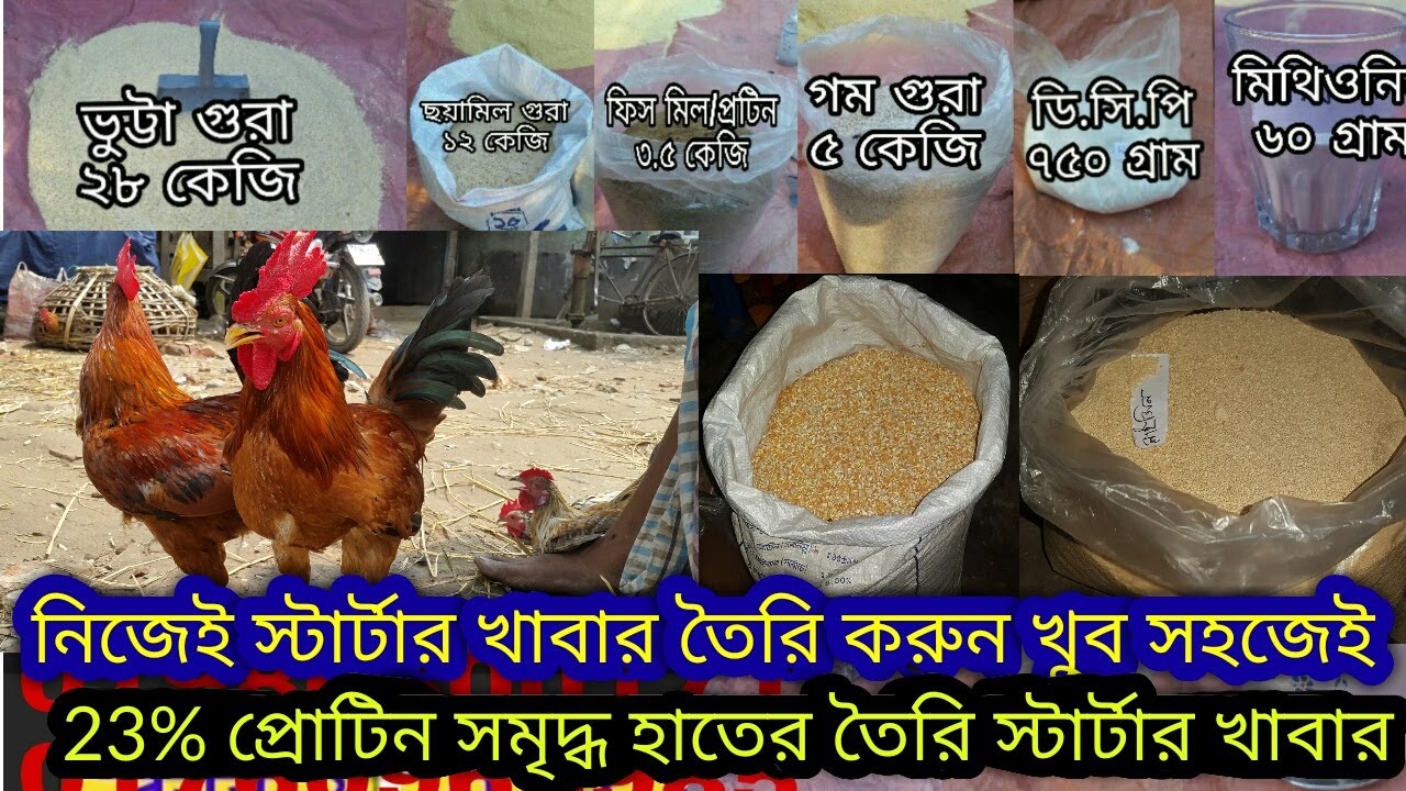 কিভাবে কম খরচে  স্টার্টার ফিড তৈরী করবেন ?তার সকল উপাদানসহ l l
