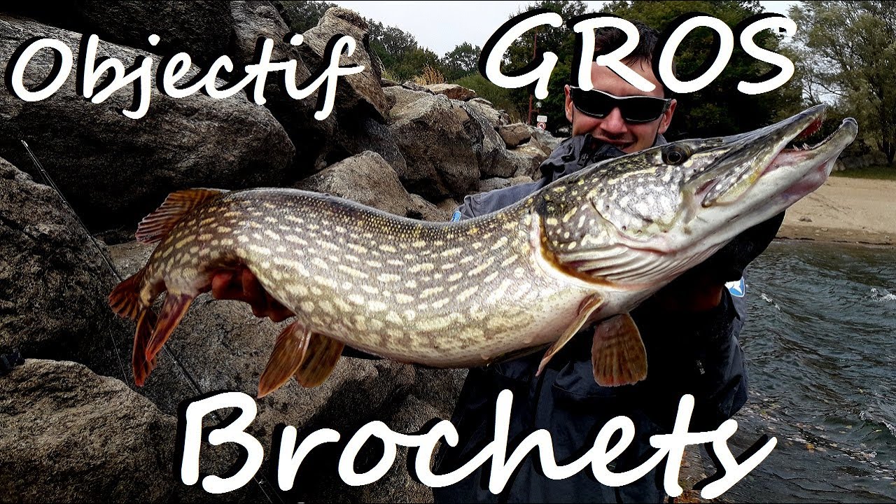 RÉUSSIR À COUP SÛR SON OUVERTURE BROCHET !